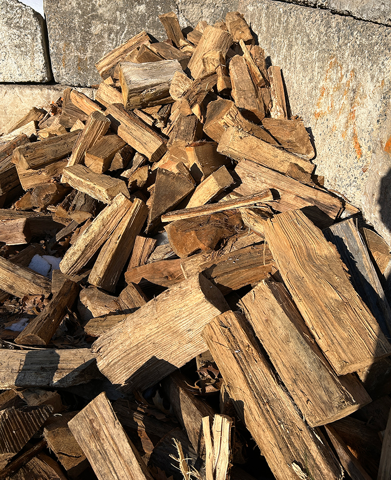 seasonal wood Maryland ground covers